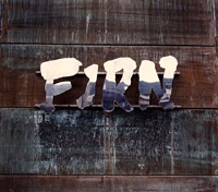 FIRN